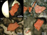 10 documents qui prouvent que la nanothermite peut être utilisée comme un puissant explosif thumbnail